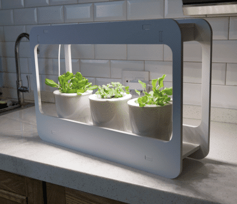 402001-PIC-XX-2017082501-XXX-Kitchen-EXTRA2520BIG_0