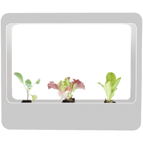 402001-PIC-XX-2017101701-XXX-With2520plants2520WEB_1-1